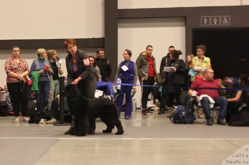 Фотография № 218334