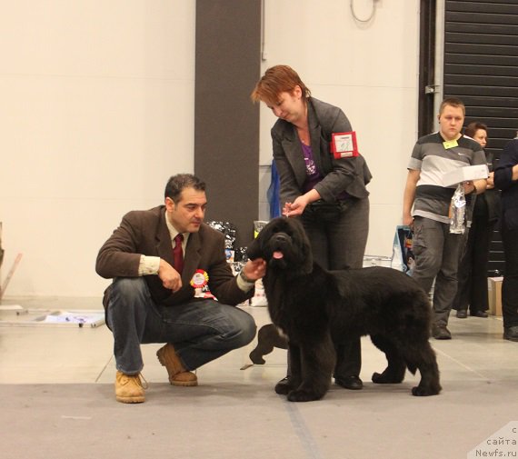 Фотография № 218337