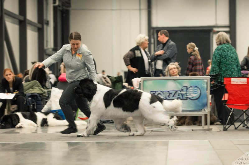 Фотография № 218349