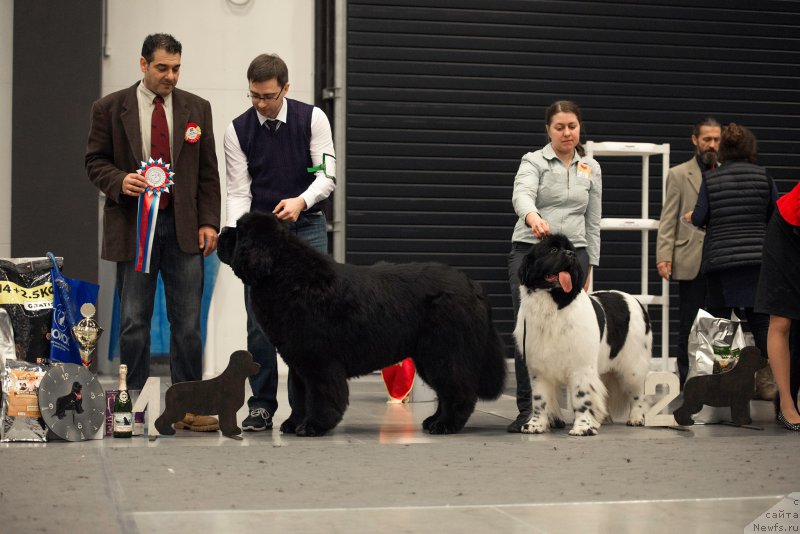 Фотография № 218351