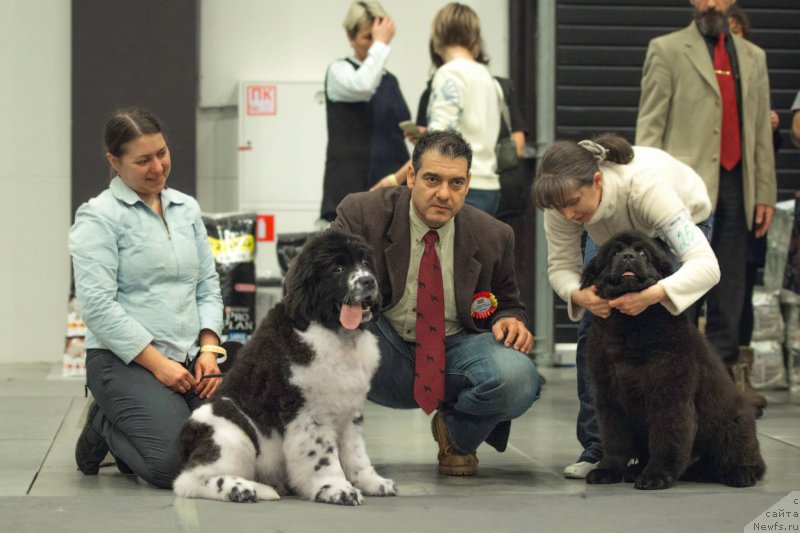 Фотография № 218352