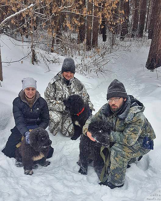 Фотография № 218357