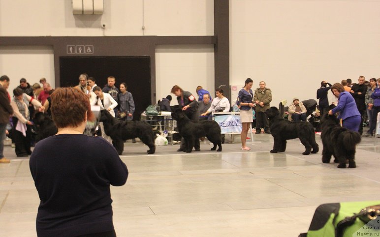 Фотография № 218360