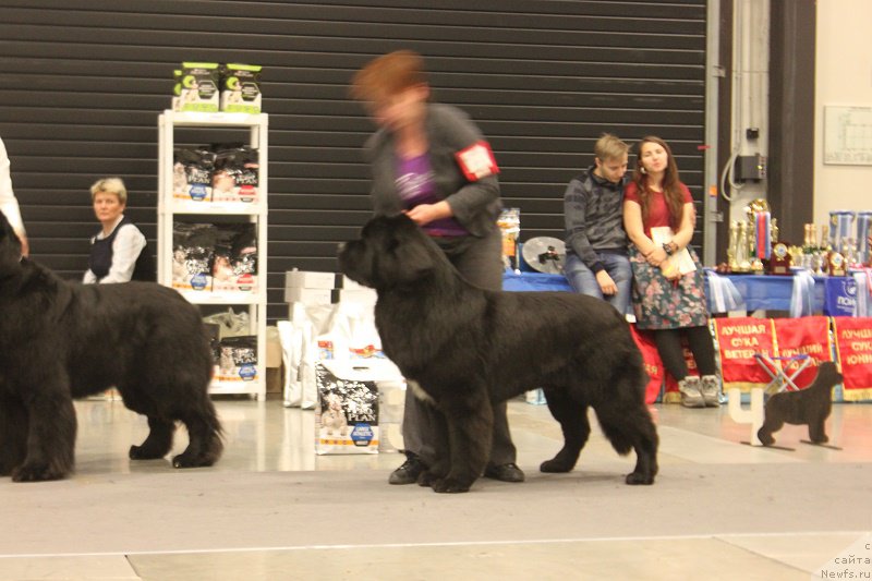 Фотография № 218363