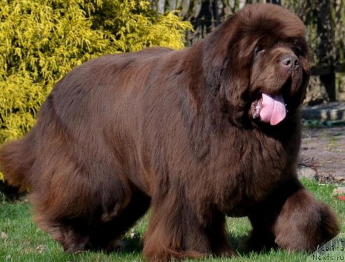 Фотография № 218368