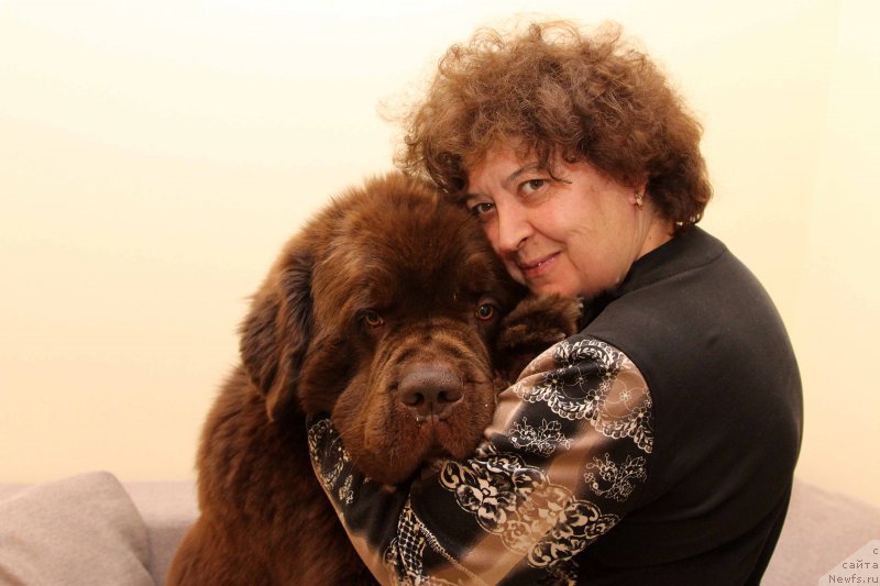 Фото: ньюфаундленд Charli The Best Helfi Pel (Чарли Де Бест Хелфи Пэл), Elena SHmeleva (Елена Шмелева)