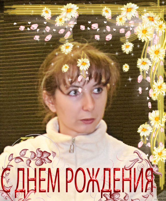 Фотография № 218382