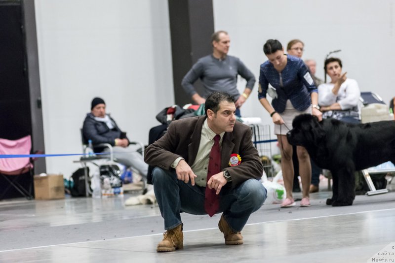 Фотография № 218399