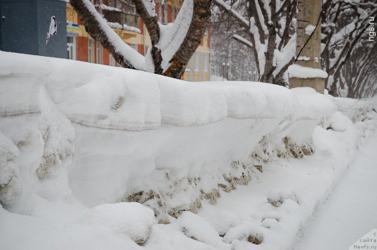 Фотография № 218436