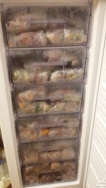 Фотография № 218440