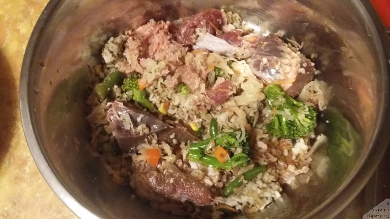 Фотография № 218441