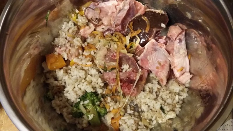 Фотография № 218443