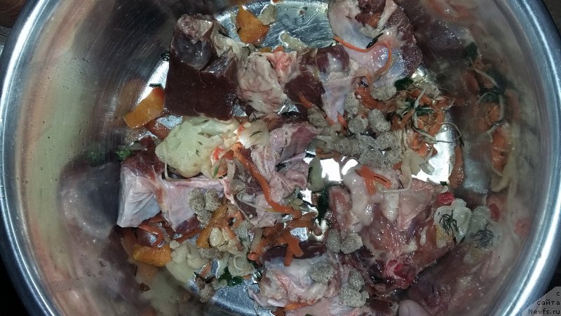 Фотография № 218444