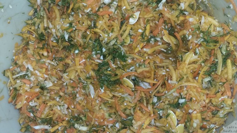 Фотография № 218445