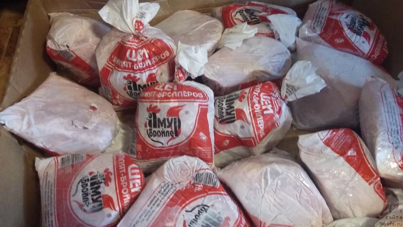 Фотография № 218447