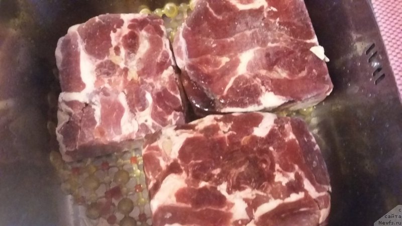 Фотография № 218449