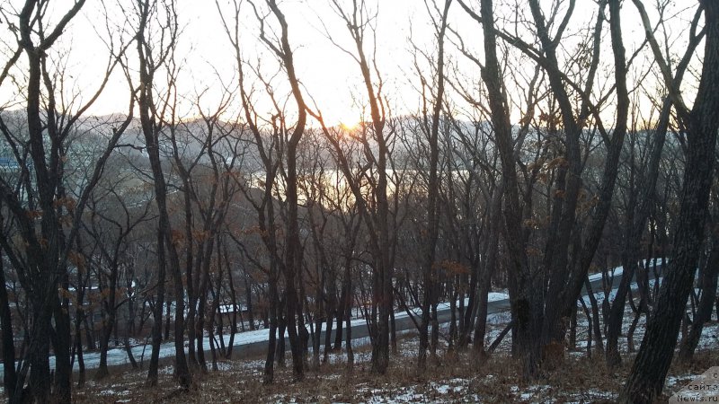 Фотография № 218454