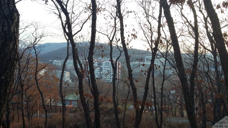 Фотография № 218455