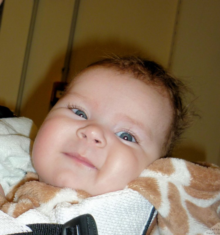 Фото: Valeriya Aleksandrova (Валерия Александрова)