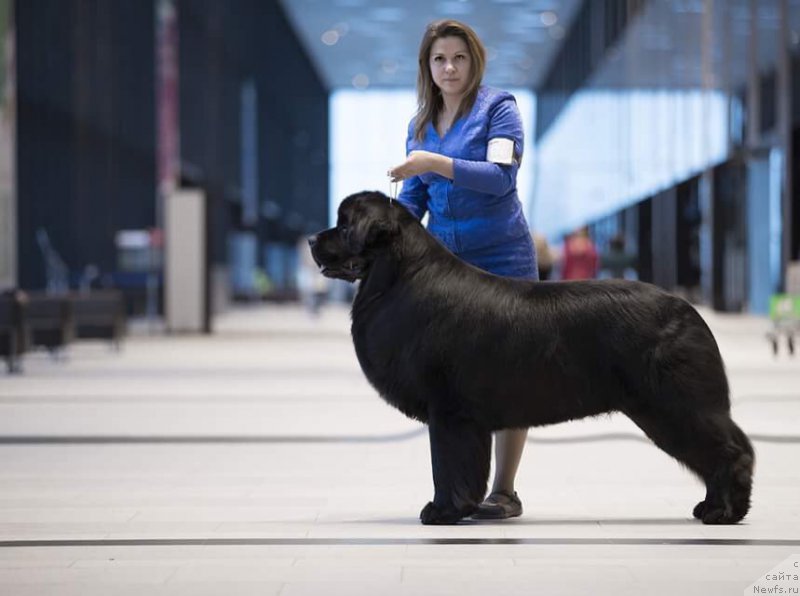 Фотография № 218483