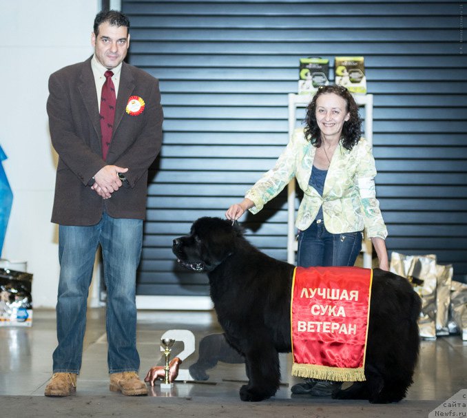 Фотография № 218485