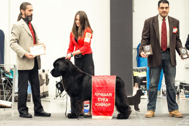 Фото: ньюфаундленд Eclipseofthemoon Newfoundlandhills Newfoundlandhills