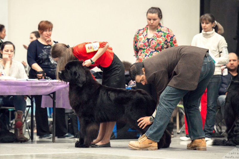 Фото: ньюфаундленд Eclipseofthemoon Newfoundlandhills Newfoundlandhills