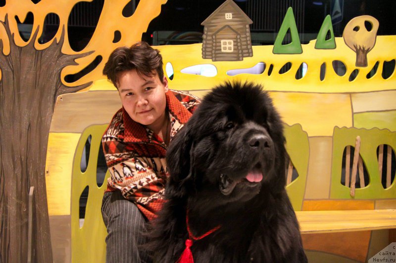 Фотография № 218508