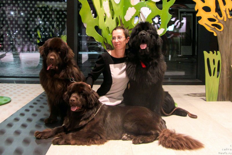 Фотография № 218510