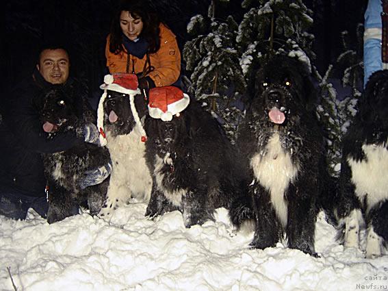 Фотография № 21855