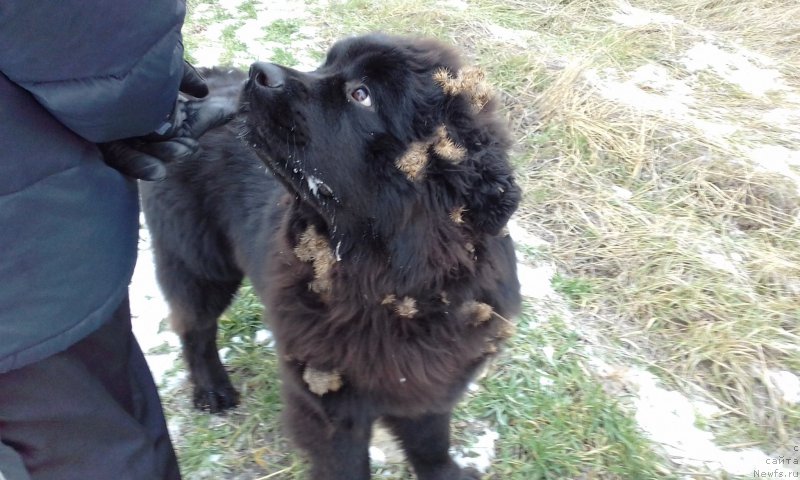 Фотография № 218556