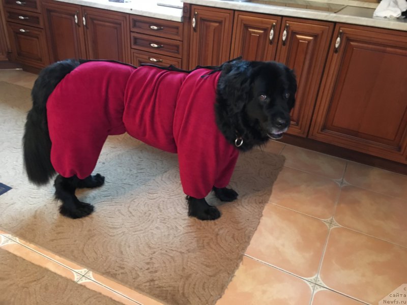 Фотография № 218557