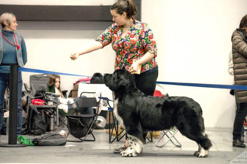 Фотография № 218561