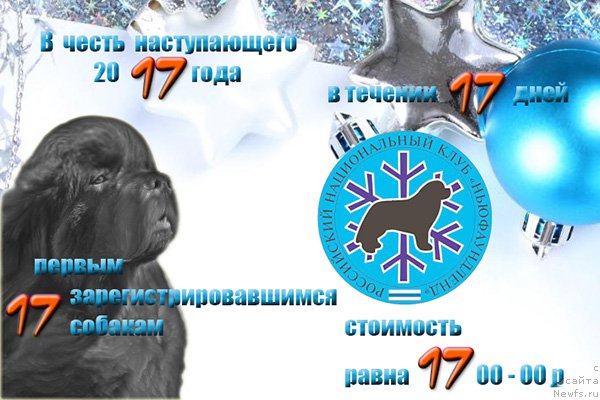 Фотография № 218563