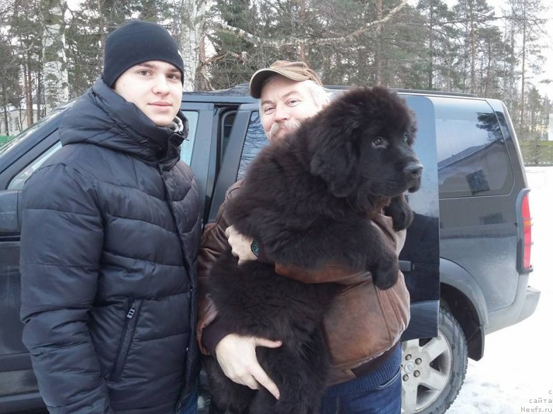 Фотография № 218580