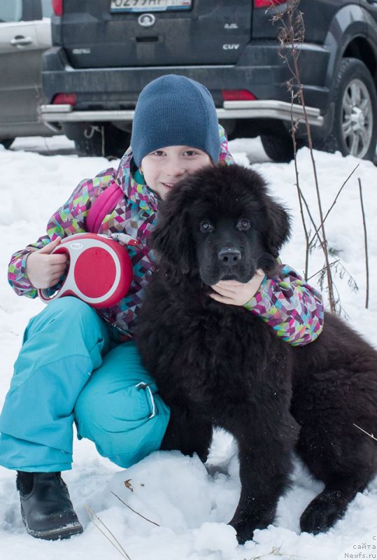 Фотография № 218583