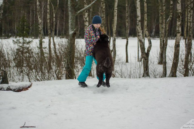 Фотография № 218587