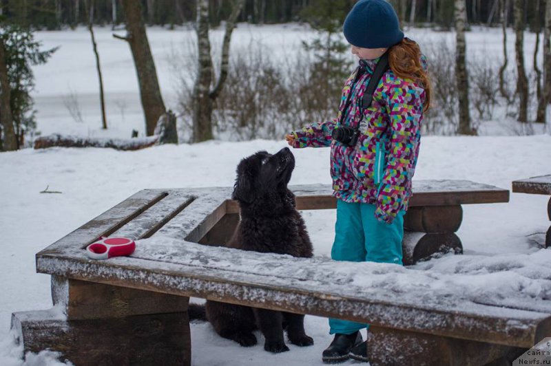 Фотография № 218591