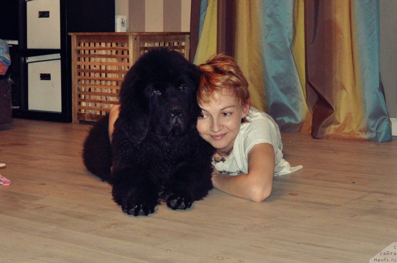 Фотография № 218593