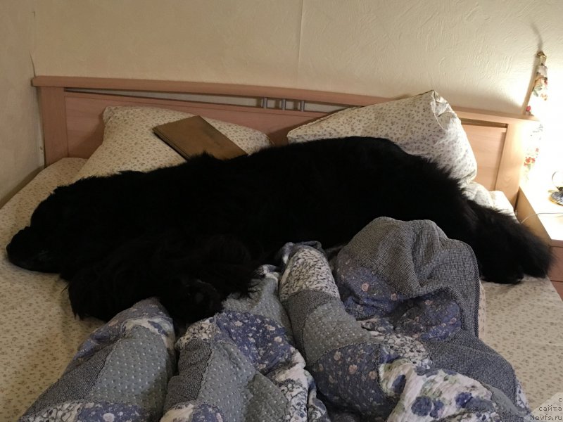 Фотография № 218644