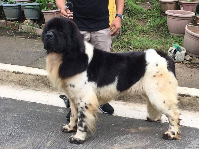 Фотография № 218653