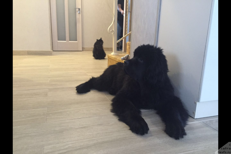 Фотография № 218654