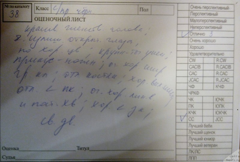 Фотография № 218658