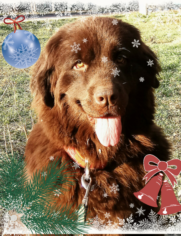 Фотография № 218685