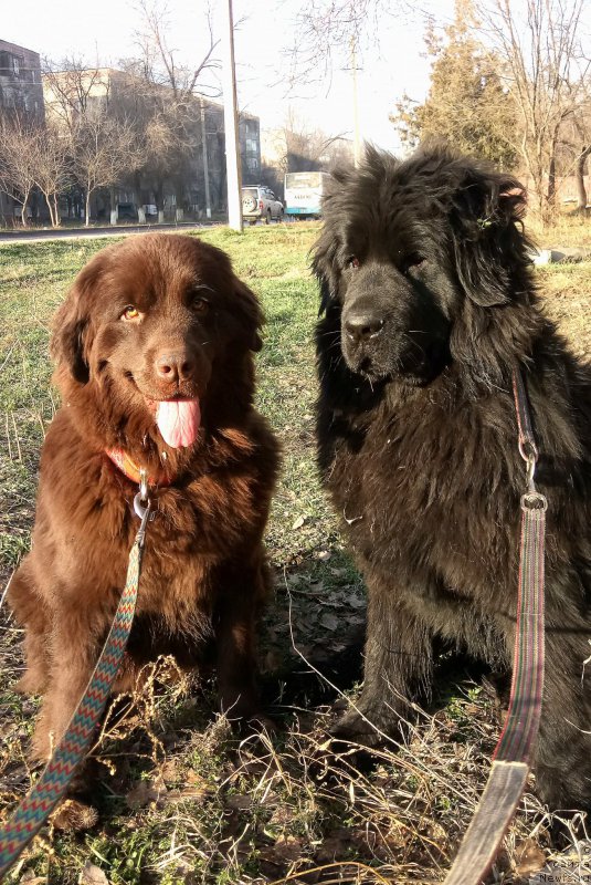 Фотография № 218686