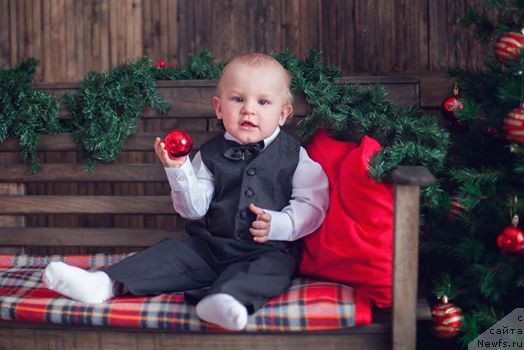 Фотография № 218690