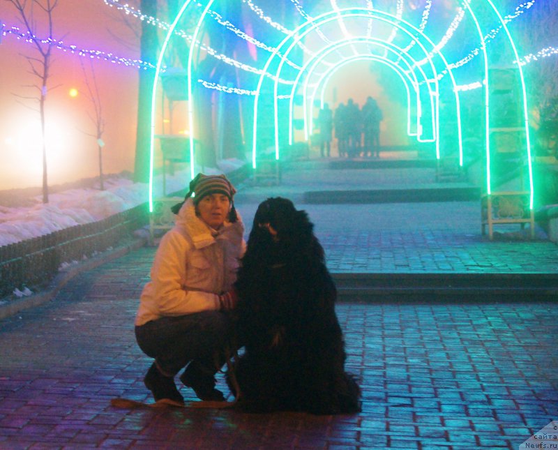 Фотография № 218706