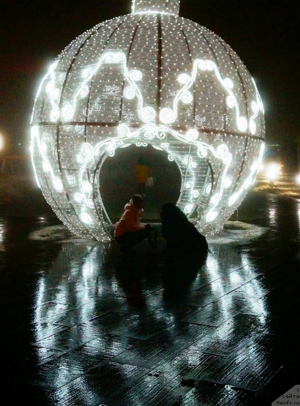 Фото: ньюфаундленд Charuyuschiy Chezario (Чарующий Чезарио), Elena Kirpa (Елена Кирпа)