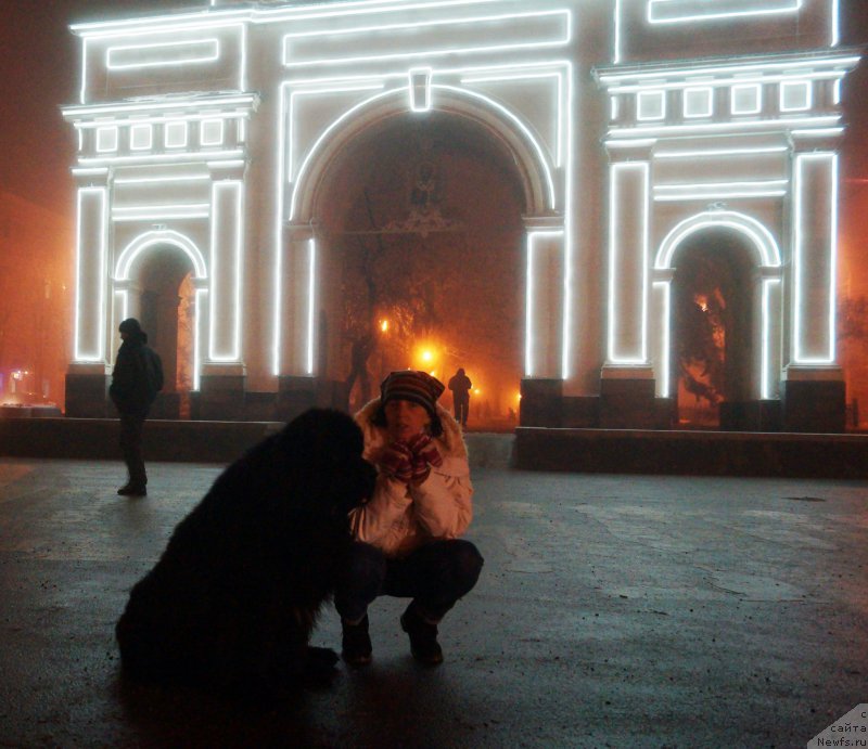 Фото: ньюфаундленд Charuyuschiy Chezario (Чарующий Чезарио), Elena Kirpa (Елена Кирпа)