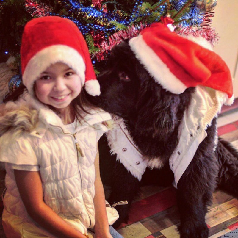 Фотография № 218720